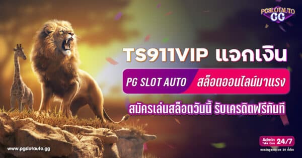 TS911VIP